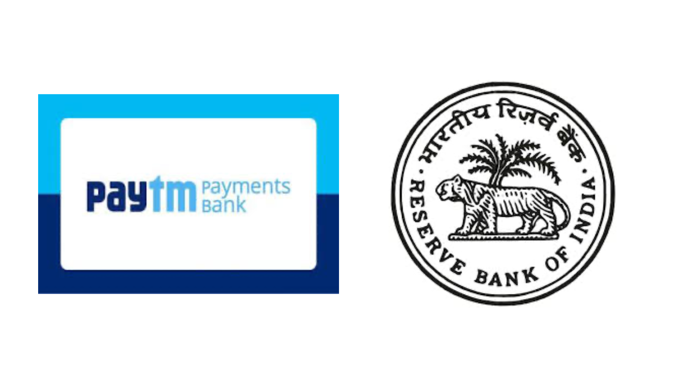 RBI’s Action on Paytm Payments Bank: What It Means for You